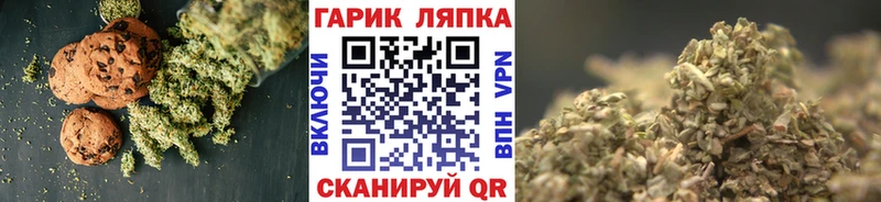 Canna-Cookies конопля  как найти закладки  Нальчик 