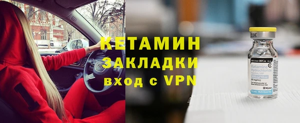 стаф Дмитриев