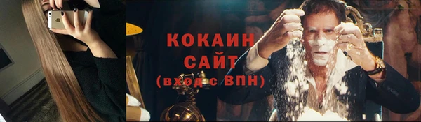 стаф Дмитриев