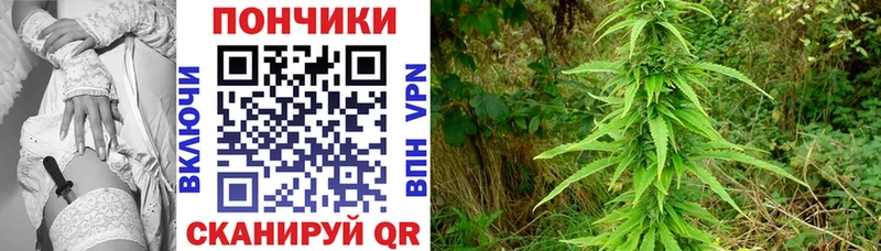 Шишки марихуана сатива  Нальчик 
